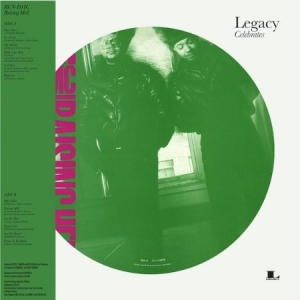 Run DMC - Raising Hell - LIMITED PICTURE DISC in the group Minishops / Run DMC at Bengans Skivbutik AB (3753885)