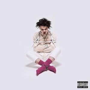 Yungblud - 21st Century Liability in the group Labels /  at Bengans Skivbutik AB (3754555)