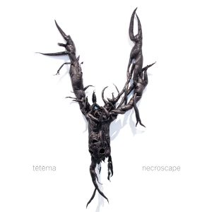Tetema - Necroscape in the group VINYL / Rock at Bengans Skivbutik AB (3755821)