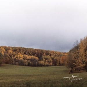 Evening Hymns - Quiet Energies in the group VINYL / Pop-Rock,World Music at Bengans Skivbutik AB (3763614)