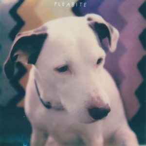 Fleabite - Nvm in the group VINYL / Pop-Rock at Bengans Skivbutik AB (3763742)