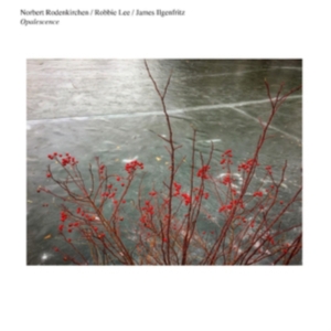 Norbert Rodenkirchen/Robbie Lee/Jam - Opalescence in the group OTHER / Övrigt /  at Bengans Skivbutik AB (3763831)