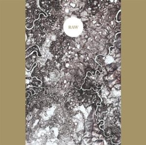 Synapse - Raw in the group OTHER / Övrigt /  at Bengans Skivbutik AB (3764323)