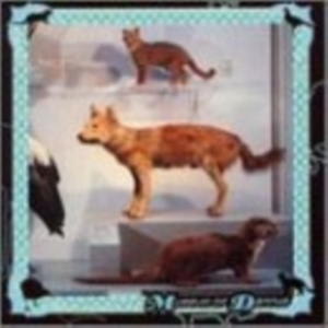 Cohen Danny - Museum Of Dannys in the group CD / Pop-Rock at Bengans Skivbutik AB (3764415)