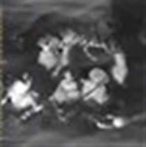 Phantom Orchard Orchestra - Trouble In Paradise in the group OTHER / Övrigt / at Bengans Skivbutik AB (3764580)