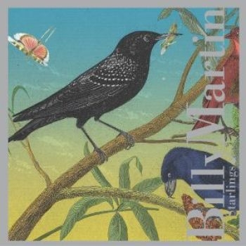 Martin Billy - Starlings in the group CD / Jazz/Blues at Bengans Skivbutik AB (3764616)
