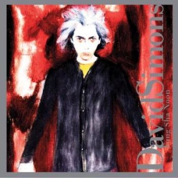 Simons David - Fung Sha Noon in the group CD / Pop at Bengans Skivbutik AB (3764654)