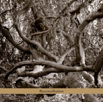 Daphna Sadeh And The Voyagers - Reconciliation in the group CD / Bestsellers at Bengans Skivbutik AB (3764713)