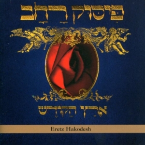 Pissuk Rachav - Eretz Hakodesh in the group OTHER / Övrigt /  at Bengans Skivbutik AB (3764718)