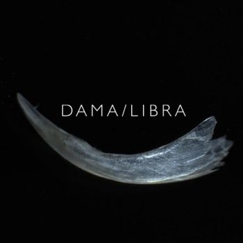 Dama/Libra - Claw in the group CD / Rock at Bengans Skivbutik AB (3764824)