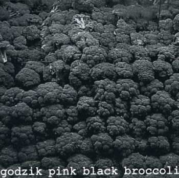 Godzik Pink - Black Broccoli in the group CD / Rock at Bengans Skivbutik AB (3764894)