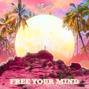 Big Gigantic - Free Your Mind in the group CD / New releases / Dance/Techno at Bengans Skivbutik AB (3766609)