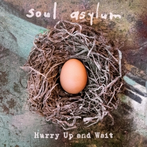Soul Asylum - Hurry Up And Wait in the group VINYL / Pop-Rock at Bengans Skivbutik AB (3768075)