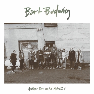 Bart Budwig - Another Burn On The Astroturf in the group VINYL / Country at Bengans Skivbutik AB (3768122)