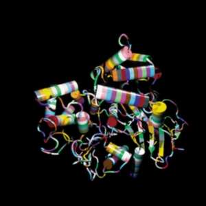 OTHER TWO - SUPER HIGHWAYS in the group CD / Pop-Rock at Bengans Skivbutik AB (3768796)