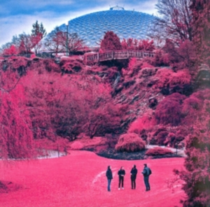 Zolas - Swooner in the group CD / Pop-Rock at Bengans Skivbutik AB (3768871)