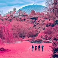 Shilohs - Shilohs in the group CD / Rock at Bengans Skivbutik AB (3768872)