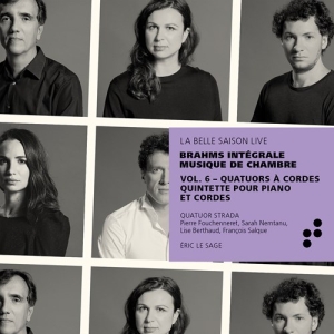 Brahms Johannes - Integrale Musique De Chambre, Vol. in the group CD / Klassiskt at Bengans Skivbutik AB (3769972)