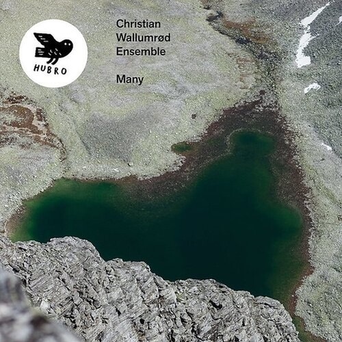 Wallumröd Christian & Ensemble - Many in the group VINYL / Rock at Bengans Skivbutik AB (3771208)