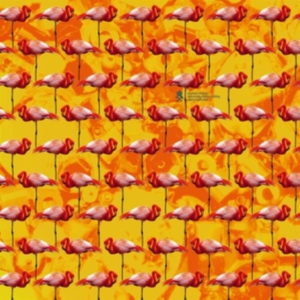 Elephant Chateau - Dreamings & Offshore Drilling in the group VINYL / Pop-Rock at Bengans Skivbutik AB (3772466)