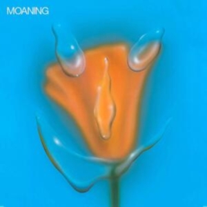 Moaning - Uneasy Laughter in the group VINYL / Pop-Rock at Bengans Skivbutik AB (3772940)