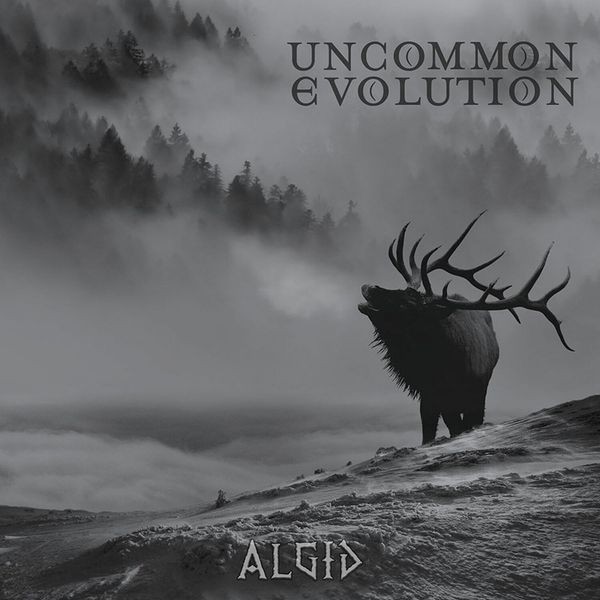 Uncommon Evolution - Algid in the group CD / Rock at Bengans Skivbutik AB (3773611)