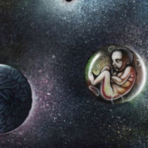 New Keepers Of The Water Towers - Cosmic Child in the group VINYL / Hårdrock at Bengans Skivbutik AB (3774317)