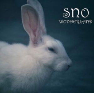 Stonewall Noise Orchestra - Wonderland in the group CD / Rock at Bengans Skivbutik AB (3778428)