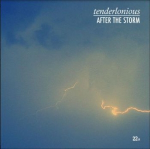 Tenderlonious - After The Storm in the group VINYL / Upcoming releases / Pop at Bengans Skivbutik AB (3778965)
