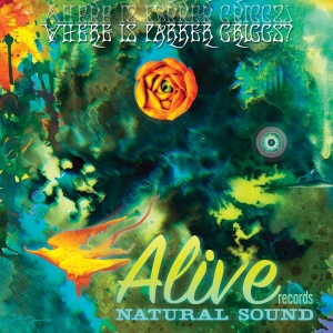Various Artists - Where Is Parker Griggs? in the group VINYL / Pop-Rock at Bengans Skivbutik AB (3782400)