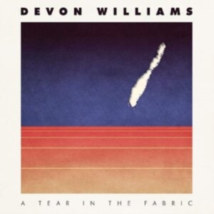 Williams Devon - A Tear In The Fabric in the group VINYL / Rock at Bengans Skivbutik AB (3783683)
