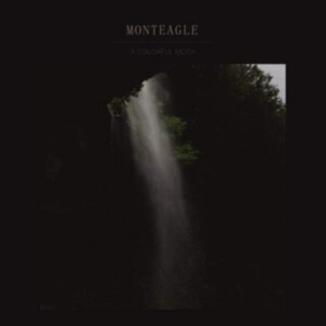 Monteagle - A Colorful Moth in the group VINYL / Pop-Rock,Svensk Folkmusik,World Music at Bengans Skivbutik AB (3788058)
