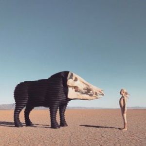 Man Man - Dream Hunting In The Valley Of The in the group VINYL / Rock at Bengans Skivbutik AB (3789105)