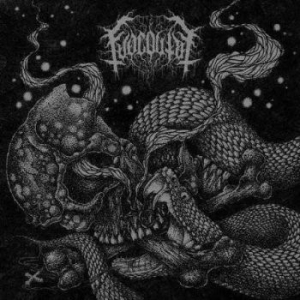 Fuoco Fatuo - Viper Slithers In The Ashes Of What in the group VINYL / Hårdrock at Bengans Skivbutik AB (3789122)