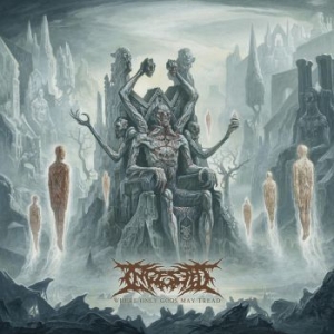 Ingested - Where Only Gods May Tread in the group VINYL / Hårdrock at Bengans Skivbutik AB (3802579)