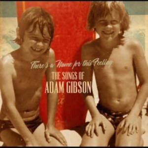 Gibson Adam - The Songs Of Adam Gibson in the group VINYL / Pop-Rock at Bengans Skivbutik AB (3802588)