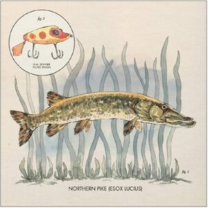 Lowe Nick - Lay It On Me in the group VINYL / Pop-Rock at Bengans Skivbutik AB (3805423)