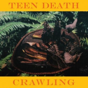 Teen Death - Crawling (Color Vinyl) in the group VINYL / Rock at Bengans Skivbutik AB (3806517)