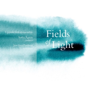 Various - Fields Of Light in the group Externt_Lager /  at Bengans Skivbutik AB (3807241)