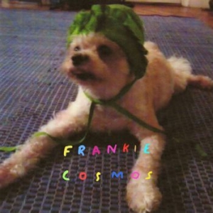 Frankie Cosmos - Zentropy in the group CD / Rock at Bengans Skivbutik AB (3807906)