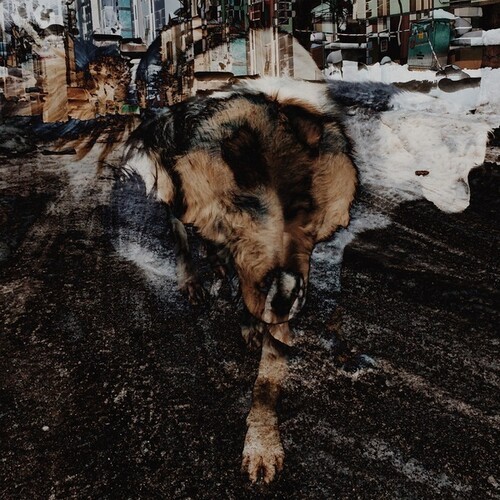 Joe Volk + Naiare - Primitive Energetics in the group VINYL / Pop-Rock at Bengans Skivbutik AB (3808093)