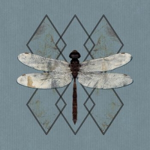 Ohhms - Close in the group VINYL / Pop-Rock at Bengans Skivbutik AB (3808095)