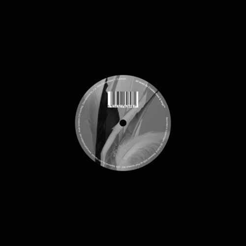 Croatian Amor & Varg2Tm - Body Of Water / Body Of Carbon in the group OTHER / Övrigt / at Bengans Skivbutik AB (3812811)