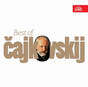 Tchaikovsky Pyotr Ilyich - Best Of Tchaikovsky in the group Externt_Lager /  at Bengans Skivbutik AB (3814034)