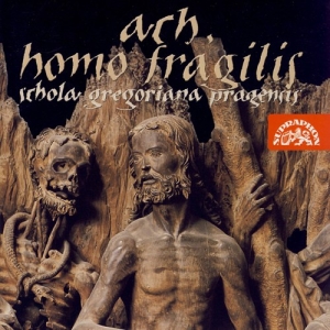 Various - Ach, Homo Fragilis in the group Externt_Lager /  at Bengans Skivbutik AB (3815215)