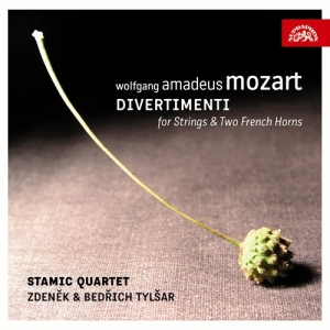 Mozart W A - Divertimenti For Strings & Two Fren in the group Externt_Lager /  at Bengans Skivbutik AB (3816033)