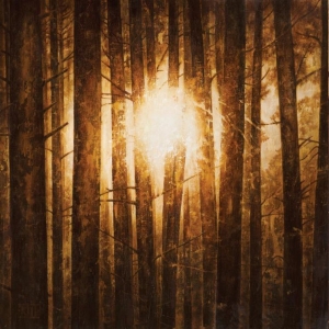 In Mourning - Echoes (3Lp Boxset Splatter) in the group VINYL / Hårdrock,Svensk Musik at Bengans Skivbutik AB (3818825)