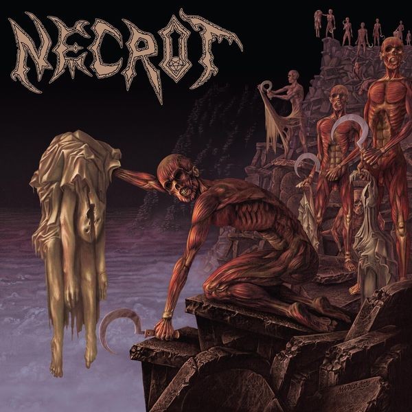 Necrot - Mortal in the group CD / Hårdrock/ Heavy metal at Bengans Skivbutik AB (3820407)