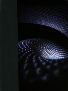 Tool - Fear Inoculum in the group OUR PICKS / Best Album Of The 10s / Bäst Album Under 10-talet - Classic Rock at Bengans Skivbutik AB (3820751)
