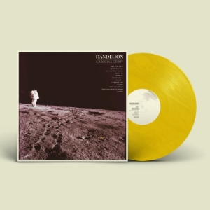 Carolina Story - Dandelion in the group VINYL / Country at Bengans Skivbutik AB (3822867)